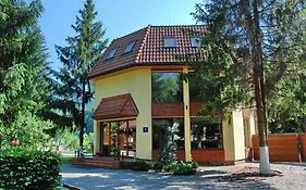 Отель Sanatoriy Karpatia